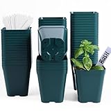 June Fox Plastic Seedling Pots, 60 Pack Square Nursery Pots 4 Inch, Small Plant Pots with Drainage Holes for Seedlings, Succulents, Cuttings (Green)