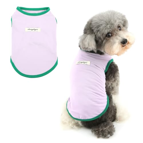 Vêtements d'été pour petit chien balade en plein air Yorkshire