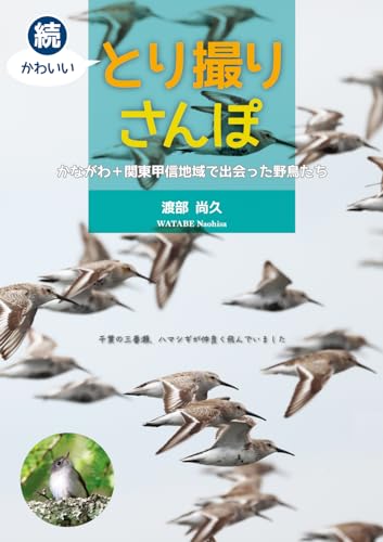 続 かわいい とり撮りさんぽ:かながわ+関東甲信地域で出会った野鳥たち