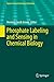 Produktbild Phosphate Labeling and Sensing in Chemical Biology (Topics in Current Chemistry Collections)