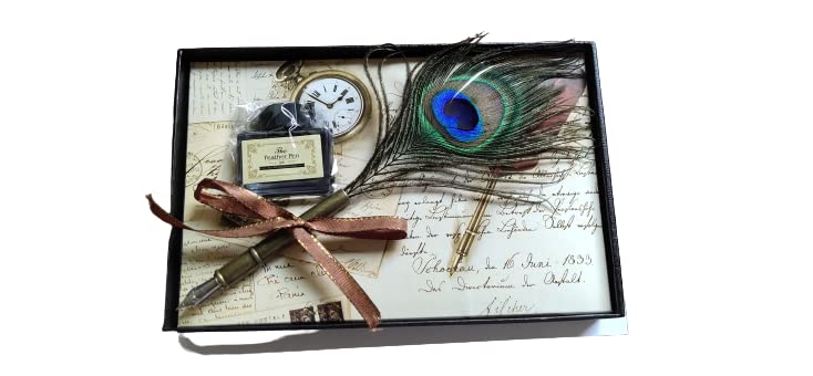SCHMIDT Peacock Feather Pen Set Antique Calligraphy Writing Quill Ink Dip Pen with Ink Bottle 0.5 MM Fine Nib (pecock feather copper)