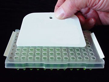 Excel - BioExcell Clear Sealing Film for PCR and Storage- 50 Μm Complex Adhesive, PK100