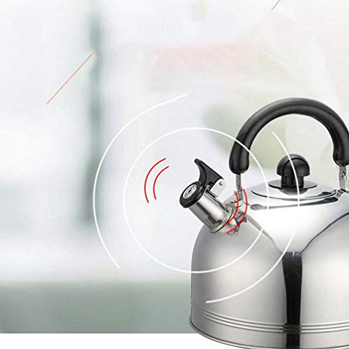 HEMOTON 1 peça de chaleira 6L de grande capacidade de aço inoxidável 6L com apito doméstico para coz