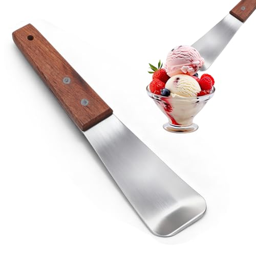 Stainless Steel Ice Cream Spade