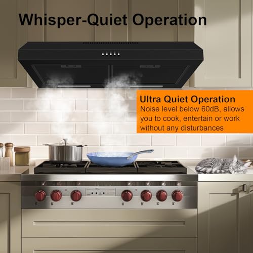 Upgraded 600 CFM Range Hood 30 inch, Black Under Cabinet Range Hood for Duct/Ductless Convertible, Stainless Steel Kitchen Stove Vent with 3 Speed Kitchen Exhaust Fan and Two Bright Energy-Saving LED