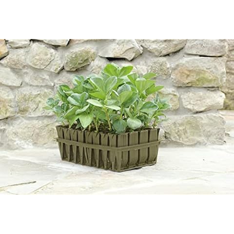 Haxnicks Deep Rootrainers | Reusable Deep Root Trainers | Seed Planting | Deep Rooted Plants | The Most Popular Size For Sweet Peas Vegetable Plants Peas Beans | Black, 32 Cells | RT010101 Cover