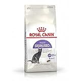 alimento balanceado royal canin gatos  Royal-Canin esterilizado Pienso