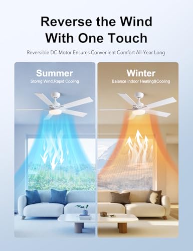 Image of Rayqueen 52 Inch White Ceiling Fans with Lights and Remote,Includes Downrod