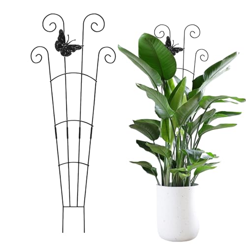 Poste de metal para escaladoras de 76 x 30 cm | Decoración Jardín, Poste Metálico Robusto para Jardín Verduras Soporte Decorativo Balcón Patio Invernadero Interior Exterior Durable Eleg