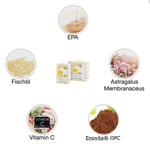 CaniMove Motion & CaniMove Immune (ehemals EPA70) Maxi, je 1 Packung hochentwickelte Ergänzungsfuttermittel für große Hunde zur Unterstützung bei degenerativen Problemen des Bewegungsapparates.