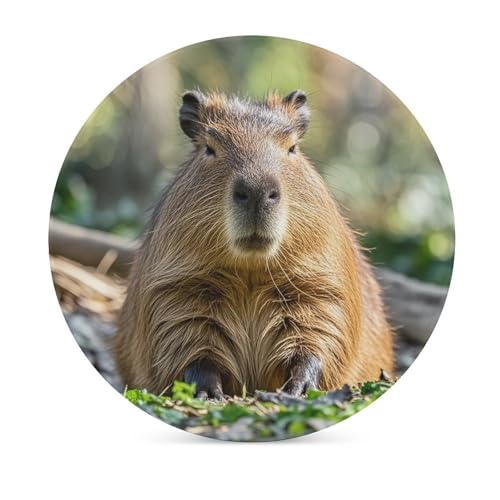 Dessous de verre Capybara céramique antidérapant résistant chaleur