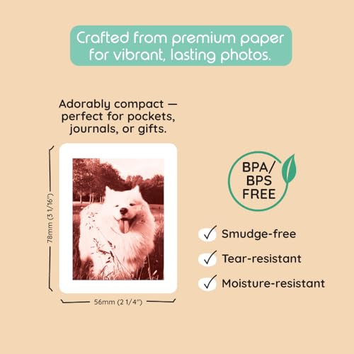 Image of kiimento Print Pack for P2 Instant Print Camera, 40-prints Variety, Ink‑Free Thermal Cards, 78x56 mm Vertical, BPA & BPS Free, 4 Styles (10 Each): Timeless, Golden, Calm, Sweet