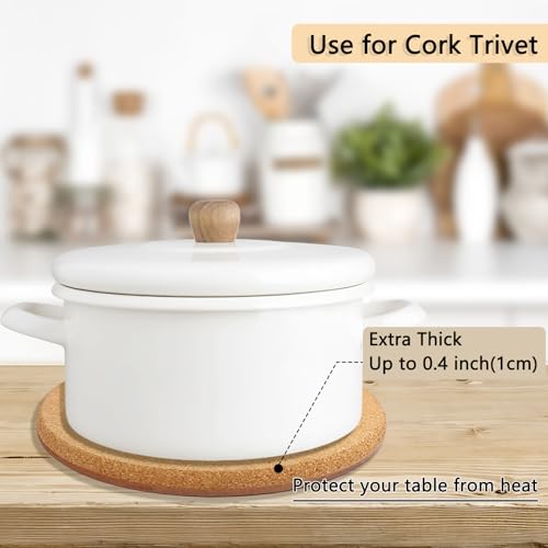 3 Sizes Cork Plant Coasters, 4/6/8 Inch Double Layers Thickened Cork Plant Mats, 10 Pcs Plant Coaster for House Plants - Image 7