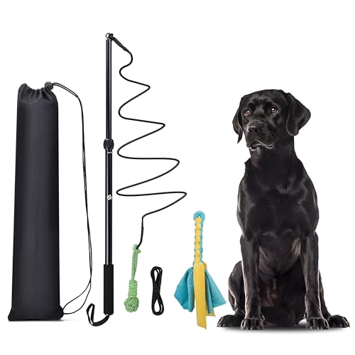 KOXXUD Reizangel Hunde, Profi Reizangel für Kleine, Mittelgroßer, Große Hunde für Ultimativen Spielspaß & Körperliche Auslastung (Seilstreifen + Seilbälle)