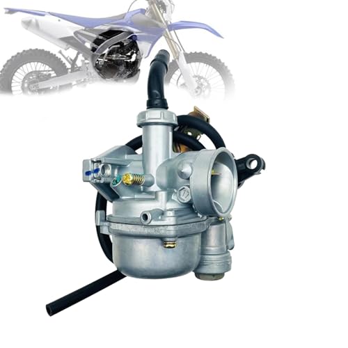 Carburateur Pz19 résout les calages de moteur 90cc 110cc avec amortisseur automatique