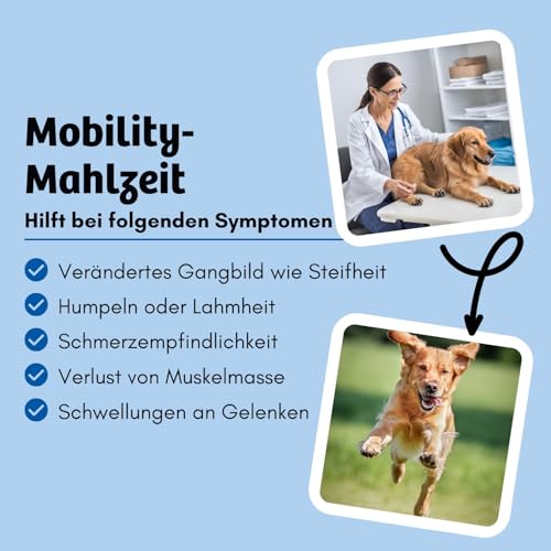 BugBell 800g Hundefutter trocken getreidefrei, zur Knochen & Gelenkunterstützung, bei Arthrose, Patellaluxation, mit Grünlippmuschel & Spirulina & Weidenrinde & Teufelskralle