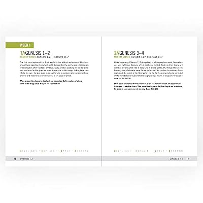 Foundations: A 260-Day Bible Reading Plan for Busy Believers (Journal) by Robby Gallaty (2015-11-01) Paperback November 1, 2015