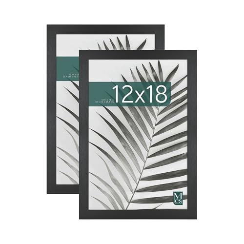 MCS Studio Gallery 12x18 Picture Frame Black Woodgrain, Rectangle Photo Frame for Photos, Posters & Art Prints (2-Pack)