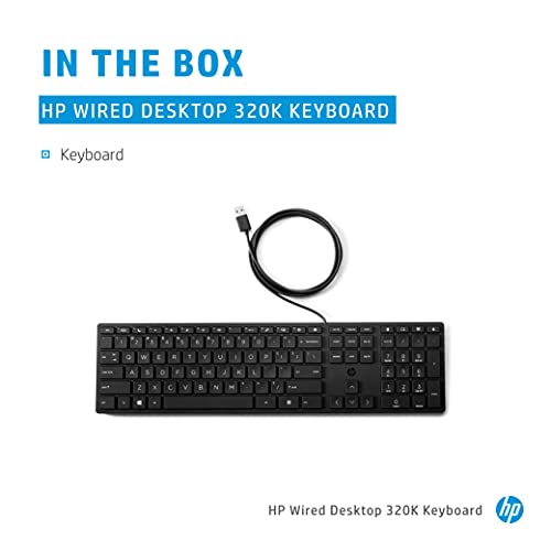 Image of HP 320K Wired USB Desktop Keyboard with Height Adjustment (9SR37AA)