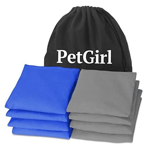 41+FDIwZ4TL._SS520_ Best corn hole bags