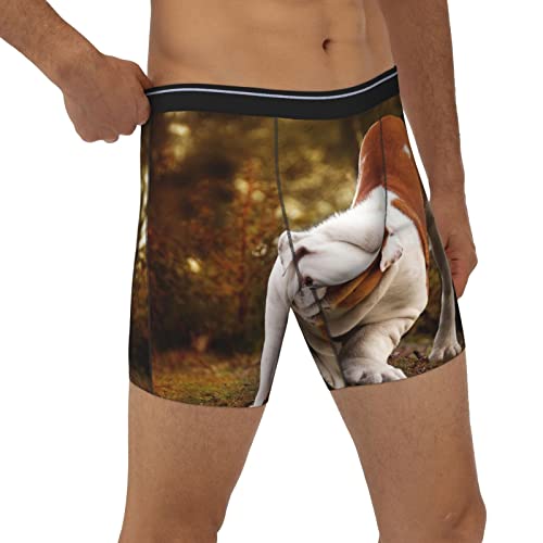 Men's Underwear, Bulldog Biting a Branch Men's Boxer Briefs, Soft Comfortable Underwear Boxer Shorts4
