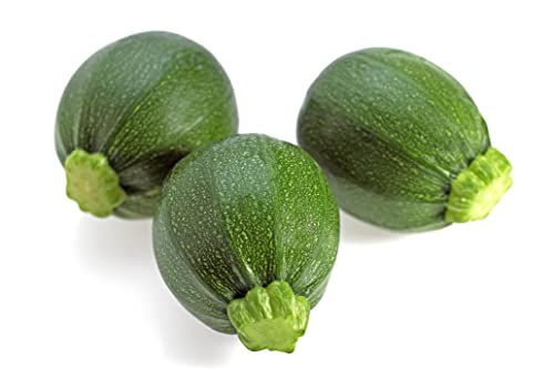 Just Seed Courgette - Tondo Chiaro di Nizza - 10 Seeds