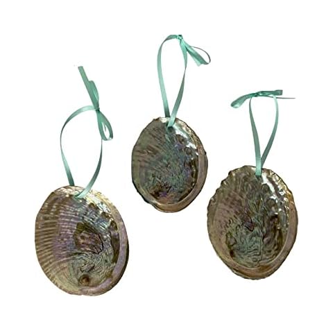 Tropical Small Abalone Seashell Christmas Tree Ornaments, Set of 3, Nautical and Beach Holiday Decor Cover
