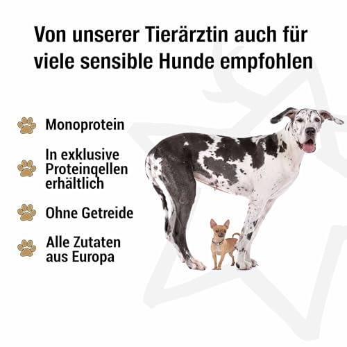 Kaustreifen Lachs pur, 5 x 12 cm | natürliche Kauartikel für Hunde | Monoprotein | Zahnpflege & Beschäftigung | Zutaten aus der EU | ohne Zusatzstoffe | hypoallergen | für Allergiker | 100% Lachs