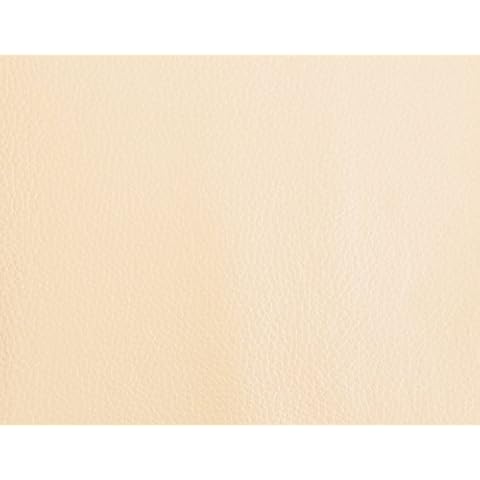 Ivovy Leather Look Vinyl Futon Mattress Cover Cover