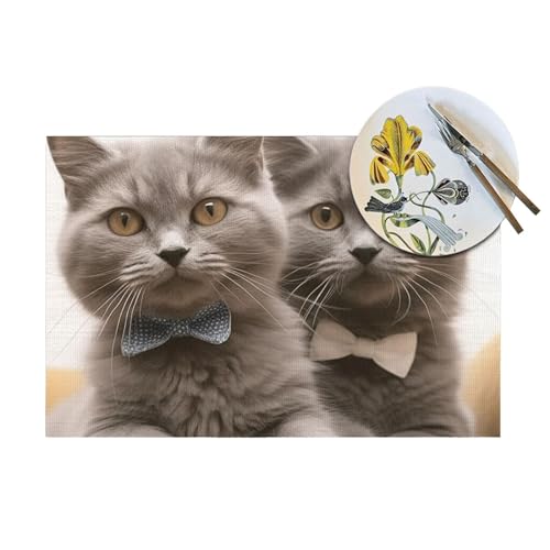 Set de table cuisine et fêtes motif chat amusant pour repas convivial - 6