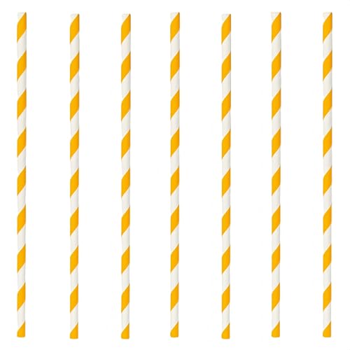 p[eB[p̃nEBe[}ɂHZbgAĝĎMARbvAe[uNXApiAnEBĝĐHZbgAMARbvAp[eB[pJ{`A7C`AA킢AƗpnEB (Halloween,Xg[ 50{)