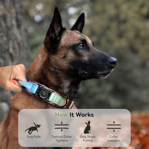 Image of 2026 Upgrade Waterproof Tactical AirTag Dog Collar, Built in AirTag Holder