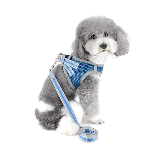 Zunea Conjunto de coleira e coleira para cães pequenos, sem puxão, refletivo, para filhotes, gatos,