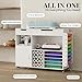 Craft organization and storage Cart Compatible with Cricut Machine, Rolling Craft Organizer With lDual Drawers & Cabinet Door, Vinyl Roll Holder, and Spacious Compartments (Extra Large)