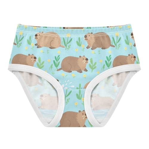 GuoChe Briefs Elastic Waistband Panties Organic Cotton Toddler Underwear for Toddlers in Sizes 2T,3T, 4T, 5T, 6Y and 8Y