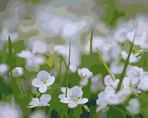 Peinture au diamant 5D herbe verte fleurs blanches 30x40cm pour décoration et loisir