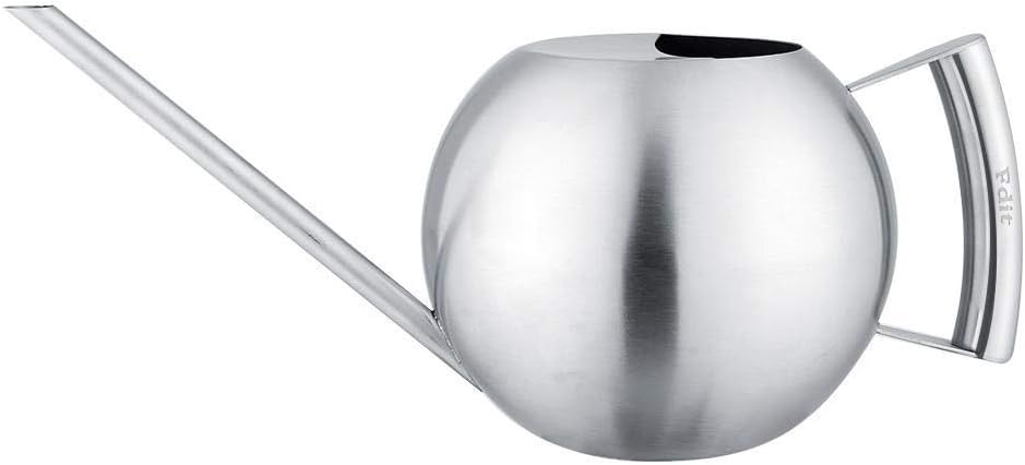 Fdit Watering Can for Indoor Plants, Stainless Steel, Long Spout, 1.0L, Silver, 11.42 Inch