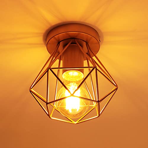 PETITES ECREVISSES Plafonnier Industriel éclairage, Vintage Lampe de Plafonde Luminaire en Fer Noir 16cm Lustre Abat Jour Cage E27 Suspension décoration Cuisine Salon Chambre Bar (Doré, 1pcs) Cover