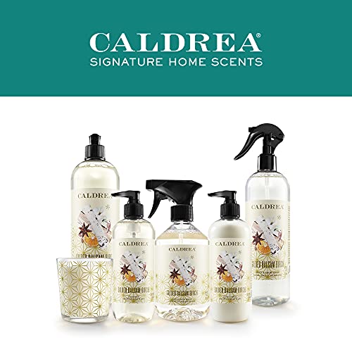 Caldrea Hand Wash Soap, Aloe Vera Gel, Olive Oil And Essential Oils To Cleanse And Condition, Gilded Balsam Birch, 10.8 Fl Oz #TOP7