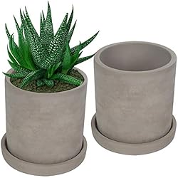 Maceteros De Piedra Baratos BELLE VOUS Maceteros Cemento Gris para Suculentas (Pack de 2) Tiestos para Plantas Platillo Desmontable - Maceta Cemento con Drenaje para Plantas Pequeñas, Cactus, Hierbas – Ventanas, Hogar, Oficina