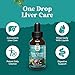 Deep Liver Cleanse, Detox & Repair with Milk Thistle Liquid Drops - Liver Detox Liquid Artichoke Extract with Dandelion Leaf, Ginger & Turmeric Curcumin for Immunity & Daily Cleanse - 2Fl OZ