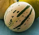 10 Snow Leopard Melon Seeds | Very Rare - Ships from Iowa, USA - Snowball Melon Seeds
