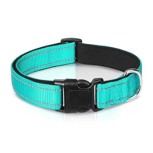 pet collar collar 3702
