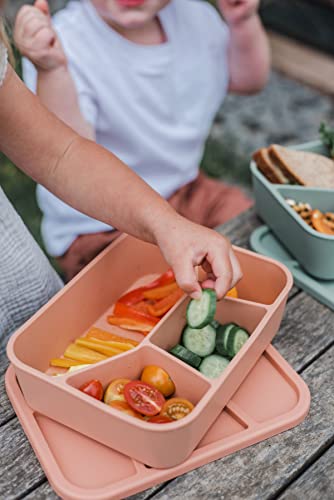 Spoondrift 100% Food Grade Eco-Friendly Leak-Proof Silicone Bento Box Lunchbox, Microwave Safe | For Child And Adult, 4 Compartment, Choose from 6 Colors, Includes 1 Box (Terracotta)