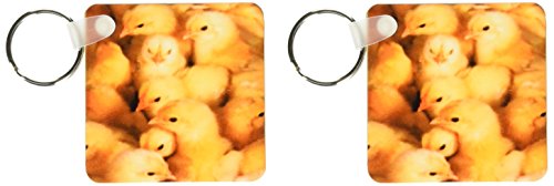 Porte-clés Baby Chicks 3dRose évitez la perte de vos clés grâce au lot de 6 cm