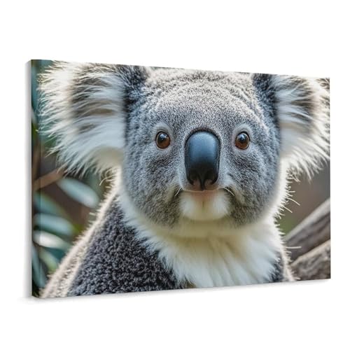 Toile murale koala 40x30 cm de style abstrait avec cadre élégant