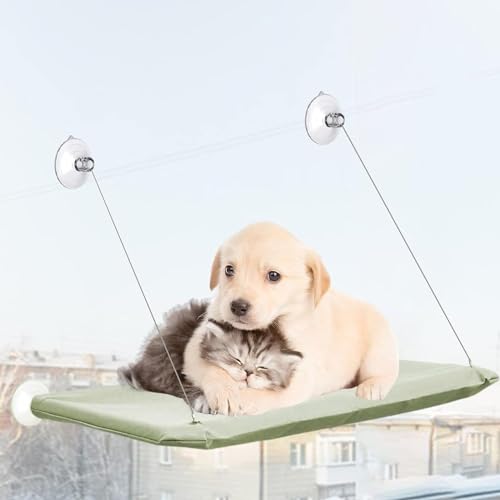 Accencyc AECWPSC04PNEW 4 Pcs Thick Suction Cup Cat Window Perches Cat Window Hammock Replacement Suction Cup thumb #5