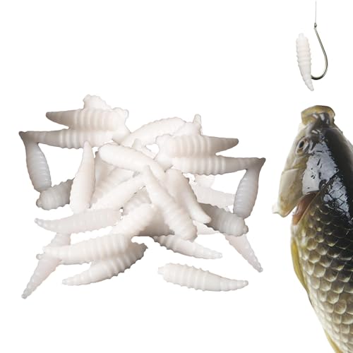 oXtBbVO[LbgA\tgxCg | 50 p[EB[hXtBbVOXCxCg - CMACAWApCNAu[MAgEgp̒ނa