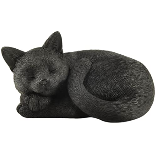 JFSM INC. 4.5C` Ă鍕L J[Abv h tBMA