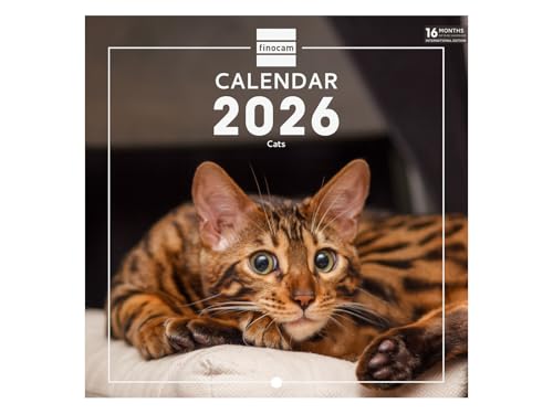 Finocam - Wall Calendar 2026 18x18 cm Month to View January - December 2026 + Sep.- Dec. 2025 (4 months) reduced | Calendar 2026 | Images Cats - International